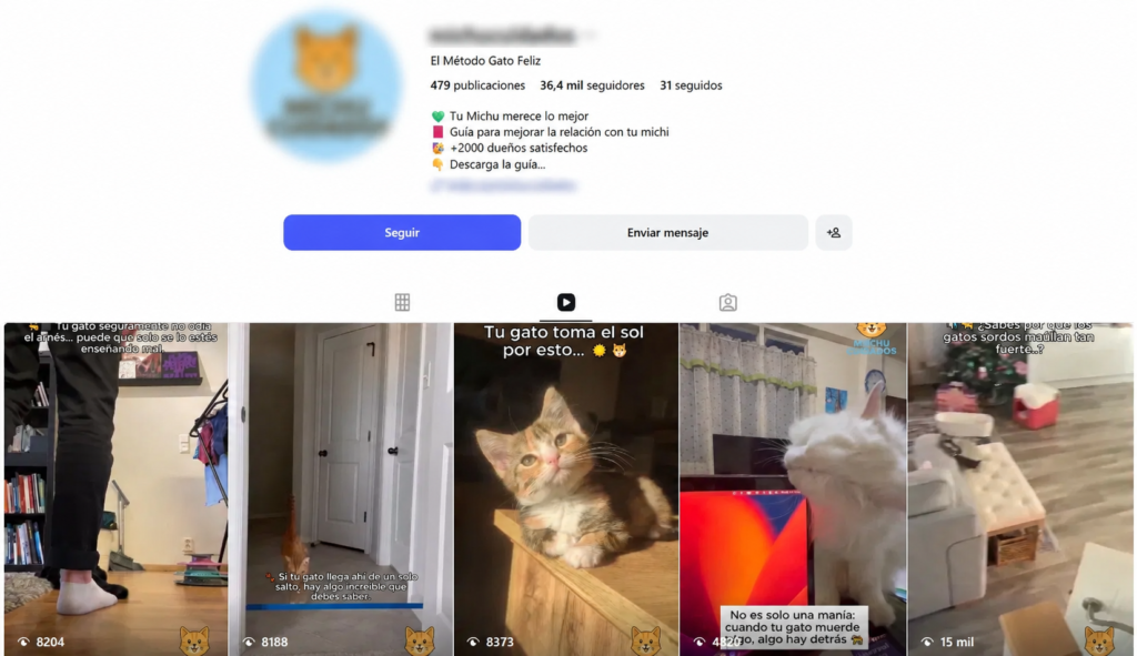 Monetizagram